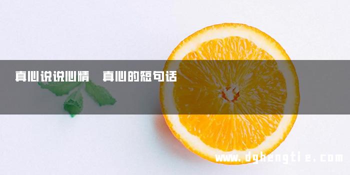 真心说说心情 真心的短句话